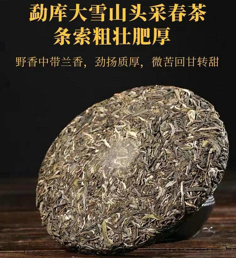 Sheng Jia Yuan 2021 Daxueshan Ancient 200 Pu-Erh Tea, Menghai Tea Region, 357g, Raw