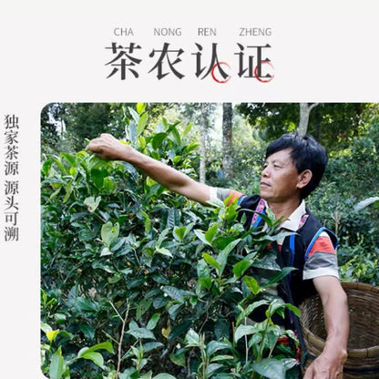 Pu-Erh tea,2022,Jingmai Laozhai,357g,Raw