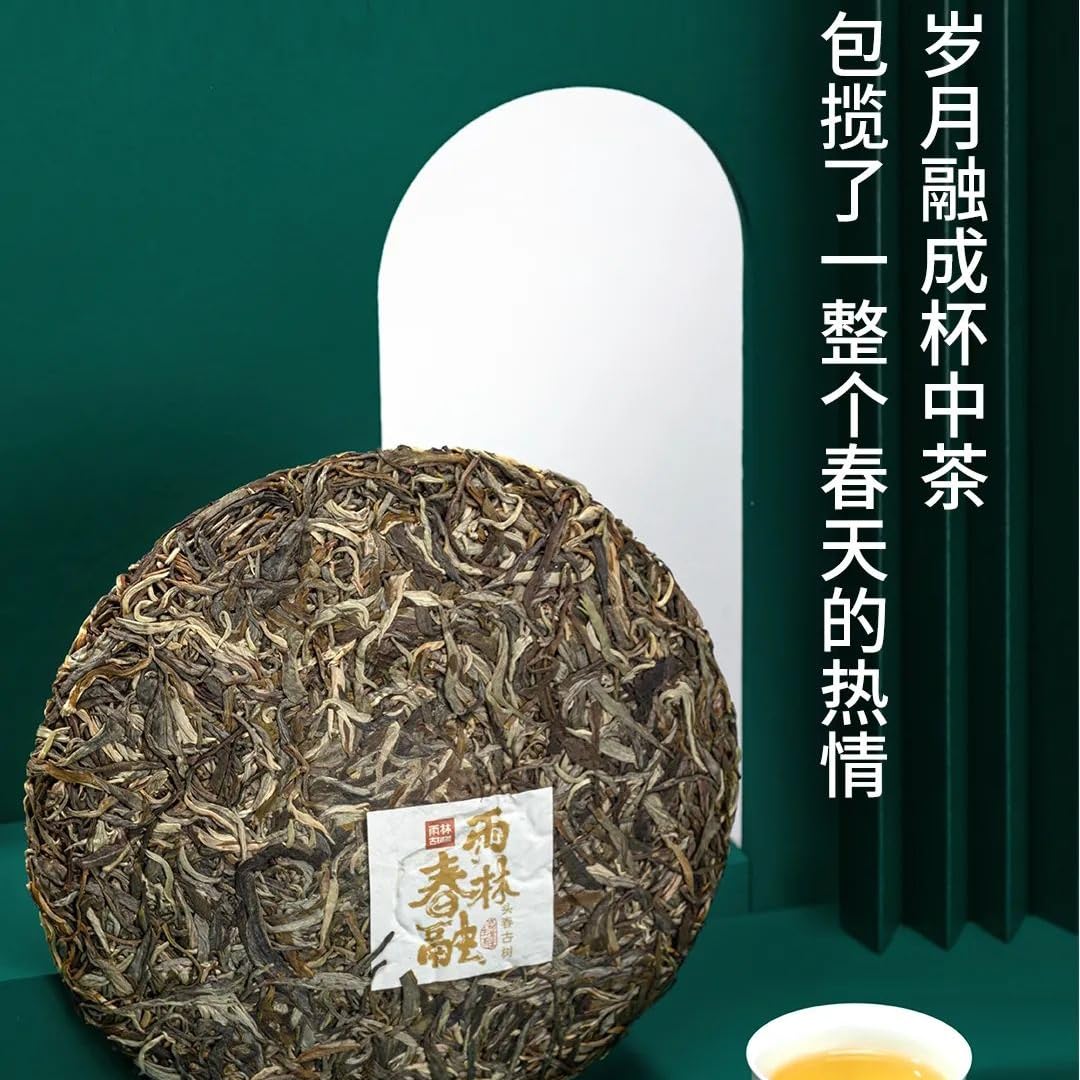 Rainforest Chunrong 2021 Raw Pu-Erh Tea Cake 357g – Premium Yunnan Sheng Puerh
