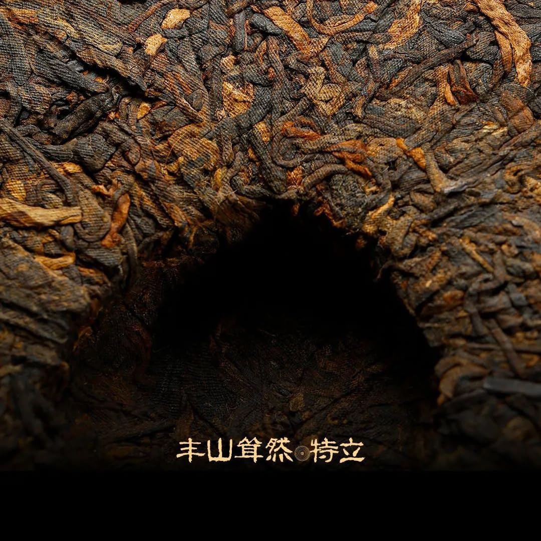 Rainforest Ancient Tree 2018 Teli Ripe Pu-Erh Tea Cake – 357g Premium Shou Puerh