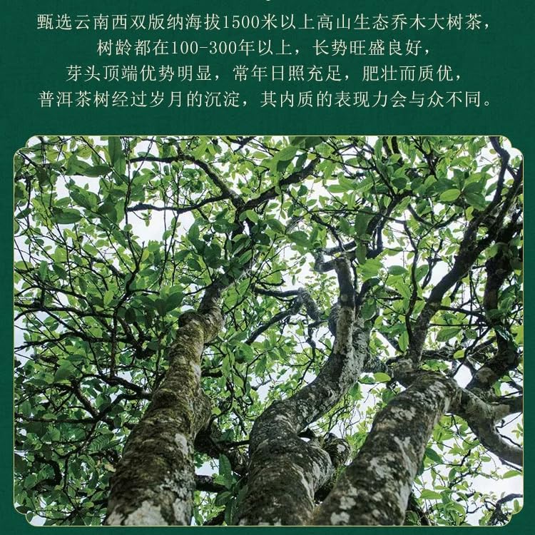 Chen Sheng Hao Naka Raw Pu-Erh Tea 2016 – 357g