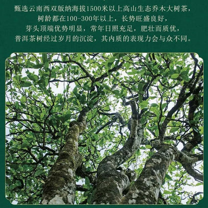 Chen Sheng Hao Naka Raw Pu-Erh Tea 2016 – 357g