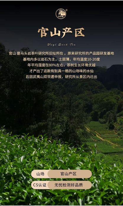 Wuyi Rock Tea Lanscent Narcissus 100gx 2 Black Caniste