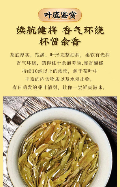 2020 Sheng Jia Yuan Sleepy Deer Mountain Raw Pu-erh Tea Cake, 357g, from Yunnan