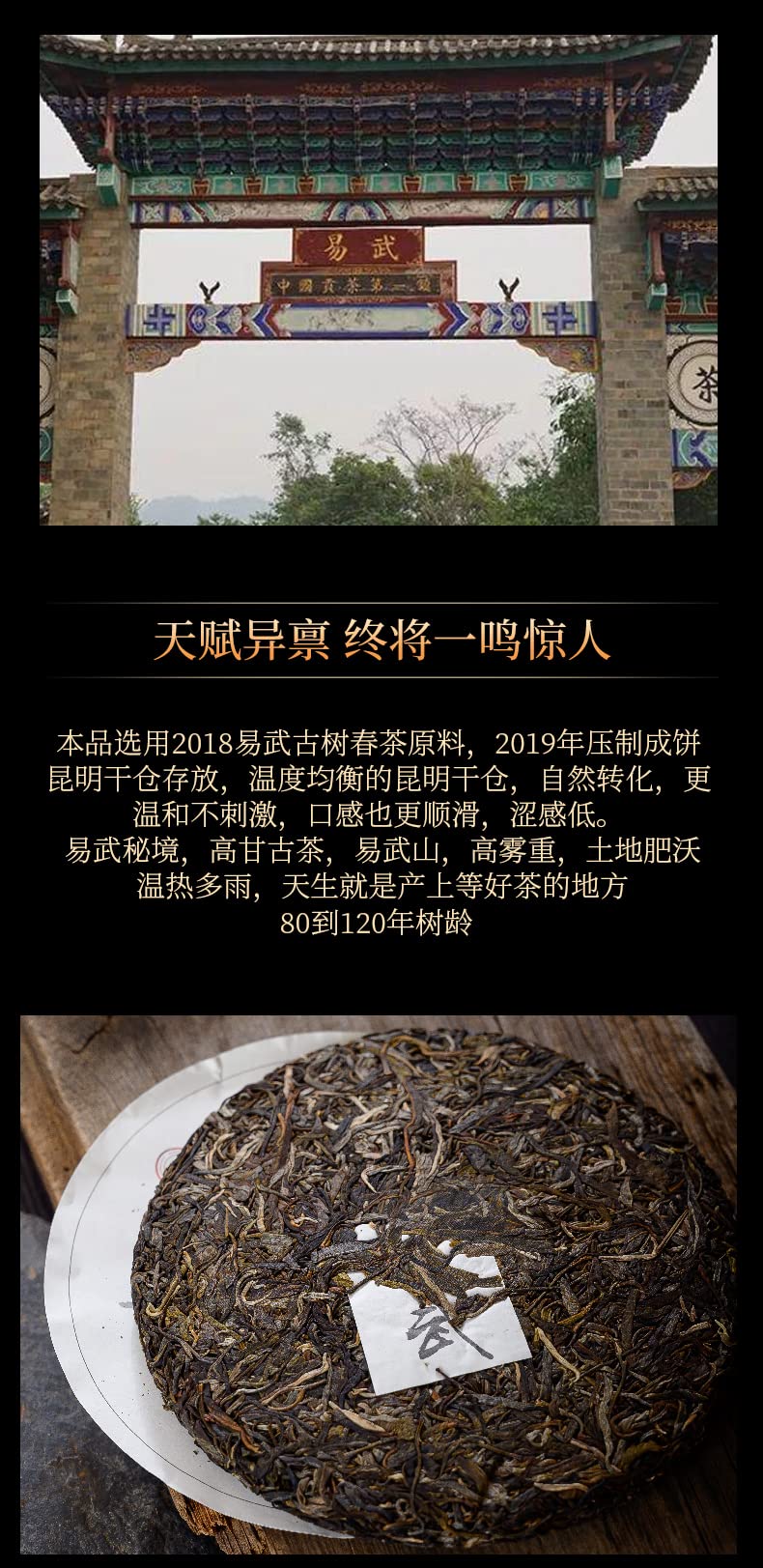 2019 Qingzhong Ancient Tree Yiwu Zhengshan Raw Pu-erh Tea Cake, 357g, from Yunnan