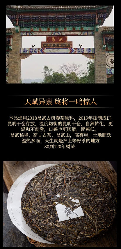 2019 Qingzhong Ancient Tree Yiwu Zhengshan Raw Pu-erh Tea Cake, 357g, from Yunnan