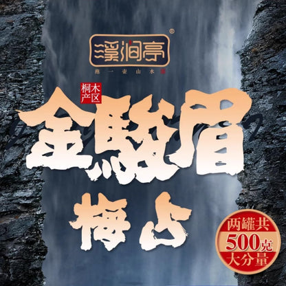 Wuyi Black Tea 武夷紅茶,桐木關梅占金俊眉花果香,250g*2,Shipped from China