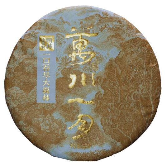 Yulin Ancient Tea 2021 Wanchuan Yiyue Raw Puerh Tea Sheng Pu-erh Cake 357g