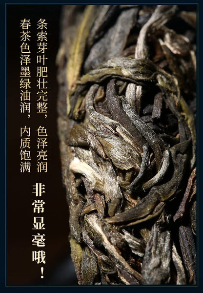 Sheng Jia Yuan 2021 Daxueshan Ancient 200 Pu-Erh Tea, Menghai Tea Region, 357g, Raw