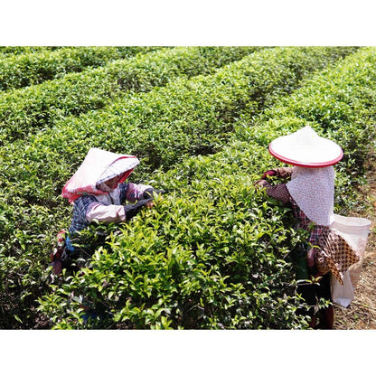 Taiwan unique tea,TTES No.18 (Ruby),日月潭紅茶,150g*4