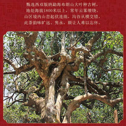 Chen Sheng Hao King Bawang Raw Pu-Erh Tea 2014 – 357g