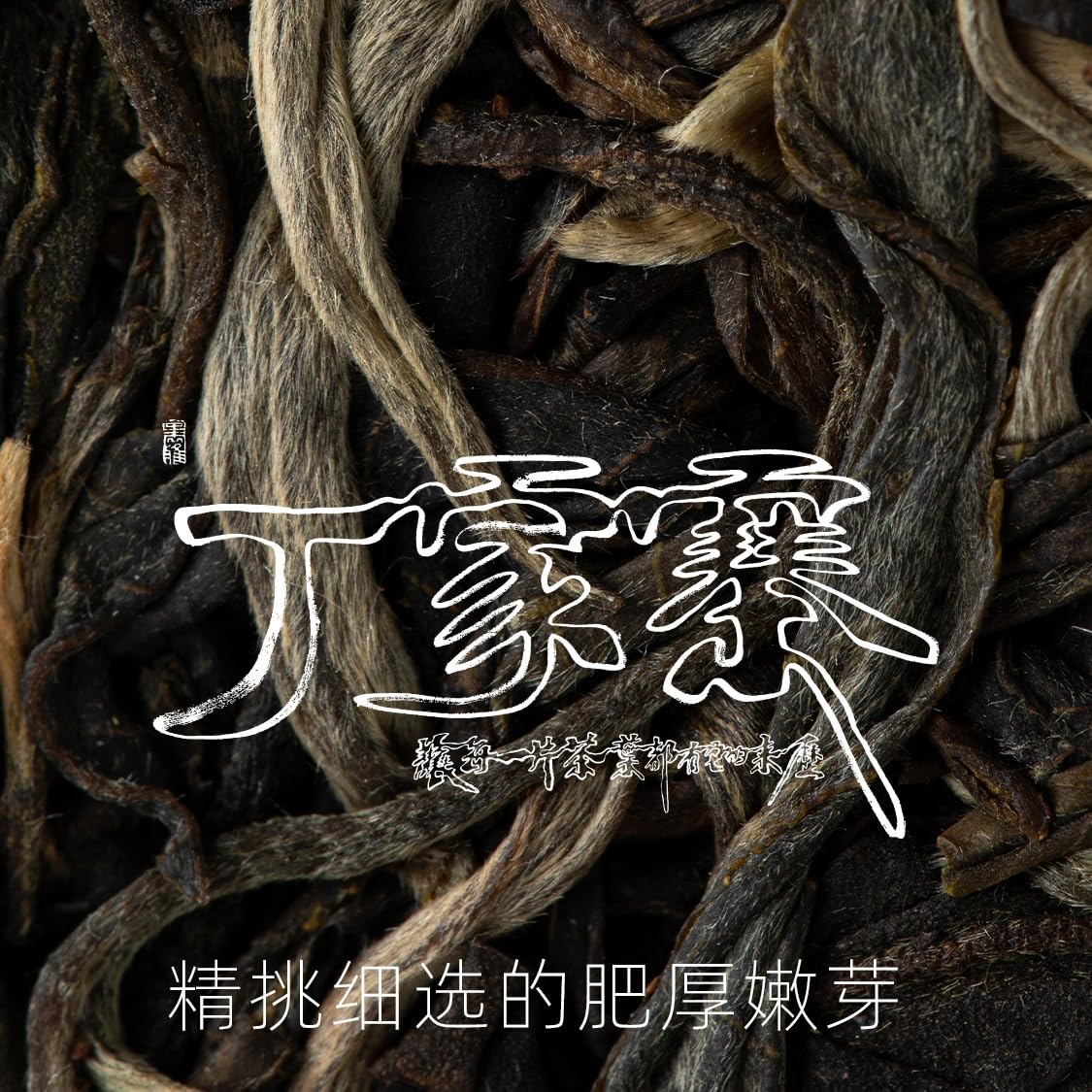 Rainforest Ancient Tree 2021 Dingjiazhai Raw Pu-Erh Tea Cake – 357g Premium Sheng Puerh