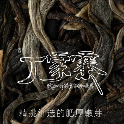 Rainforest Ancient Tree 2021 Dingjiazhai Raw Pu-Erh Tea Cake – 357g Premium Sheng Puerh