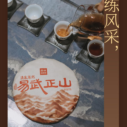 Rainforest Ancient Tree 2020 Yiwu Zhengshan Ripe Pu-Erh Tea Cake – 357g Premium Shou Puerh