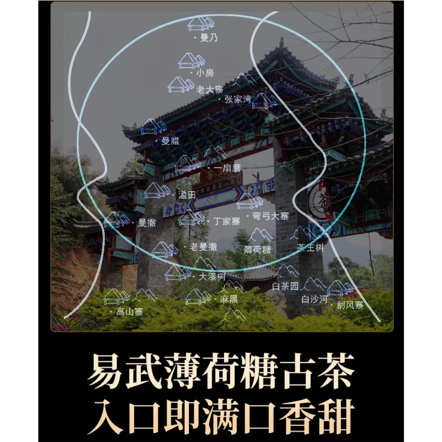 2012 Yiwu Bohuetang Single Bush Raw Pu-erh Tea Cake, 357g, from Yunnan