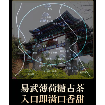 2012 Yiwu Bohuetang Single Bush Raw Pu-erh Tea Cake, 357g, from Yunnan