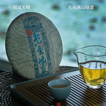 Rainforest Ancient Tree Lao Man'e 2022 Raw Pu-Erh Tea Cake 357g – Premium Yunnan Sheng Puerh