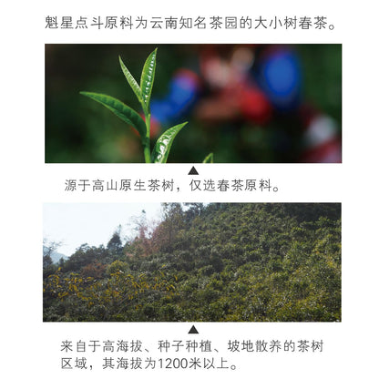 2014 Dovji Kuixingdiandou Raw Pu-erh Tea Cake, 400g, from Yunnan