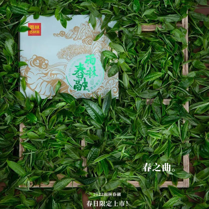 Rainforest Chunrong 2022 Raw Pu-Erh Tea Cake 357g – Premium Yunnan Sheng Puerh