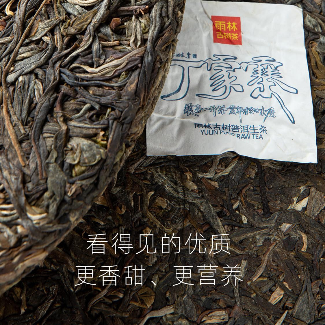 Rainforest Ancient Tree 2021 Dingjiazhai Raw Pu-Erh Tea Cake – 357g Premium Sheng Puerh