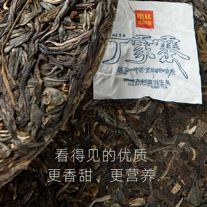 Rainforest Ancient Tree 2021 Dingjiazhai Raw Pu-Erh Tea Cake – 357g Premium Sheng Puerh
