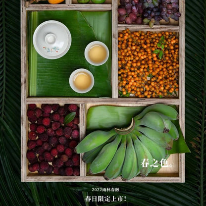 Rainforest Chunrong 2022 Raw Pu-Erh Tea Cake 357g – Premium Yunnan Sheng Puerh