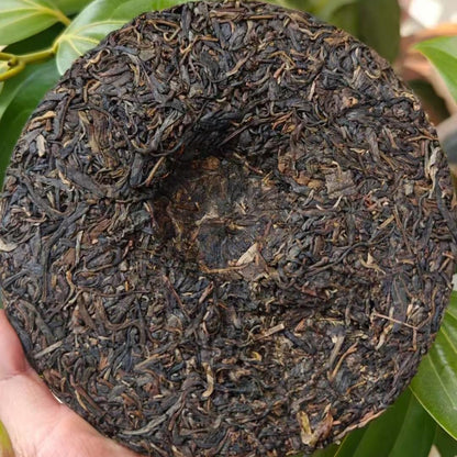 2004 Raw Pu-erh Tea Cake, Wild Field Aroma, 357g, from Yunnan