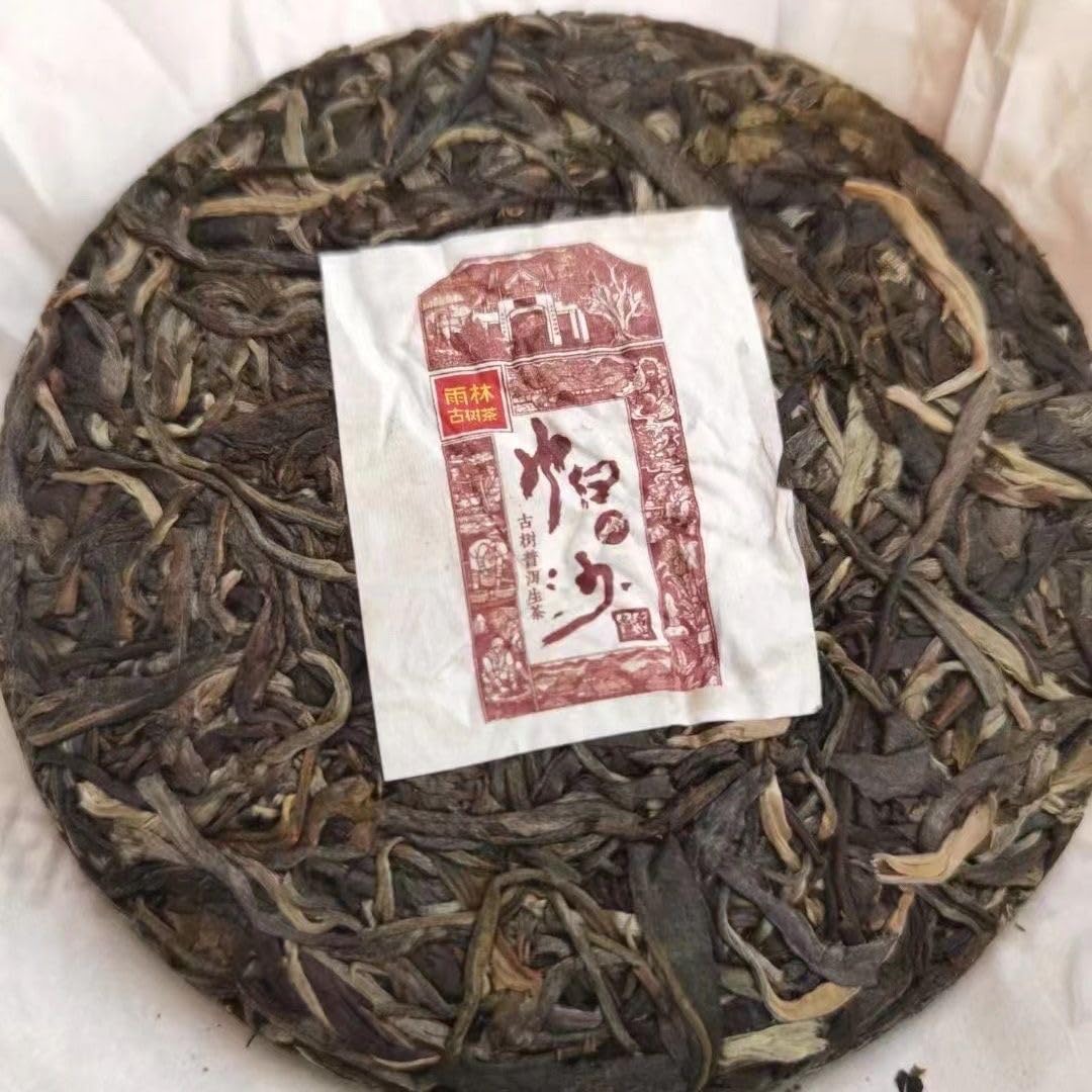 Rainforest Ancient Tree Pasha 2021 Raw Pu-Erh Tea Cake 357g – Premium Yunnan Sheng Puerh, Rich & Mellow