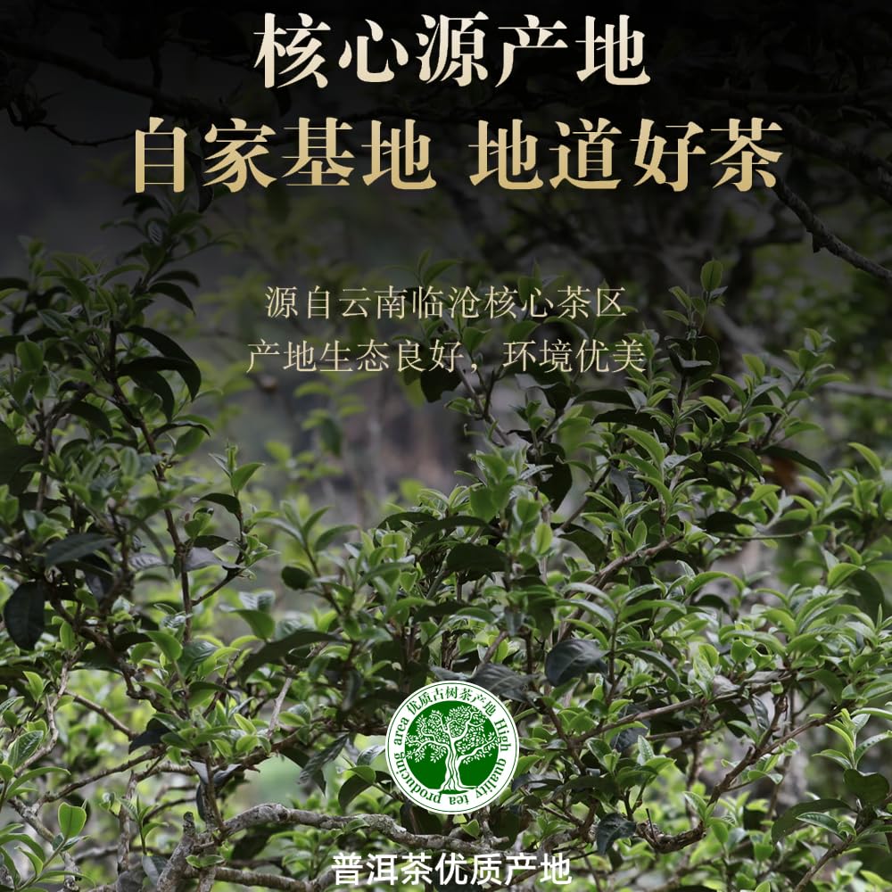 2016 Chensheng Fuyuan Chang Yibang Raw Pu-erh Tea Cake, 357g, from Yunnan