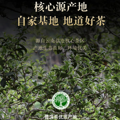 2016 Chensheng Fuyuan Chang Yibang Raw Pu-erh Tea Cake, 357g, from Yunnan