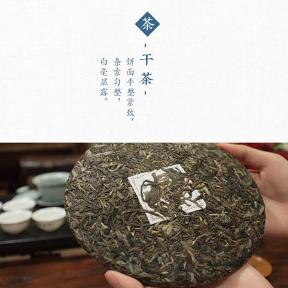 2014 Dovji Kuixingdiandou Raw Pu-erh Tea Cake, 400g, from Yunnan