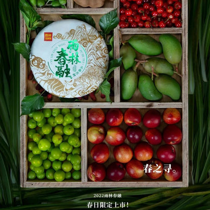 Rainforest Chunrong 2022 Raw Pu-Erh Tea Cake 357g – Premium Yunnan Sheng Puerh