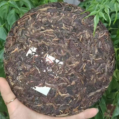 2008 Chunhai Tea Factory Banzhang Big Tree Raw Pu-erh Tea, 357g, from Yunnan