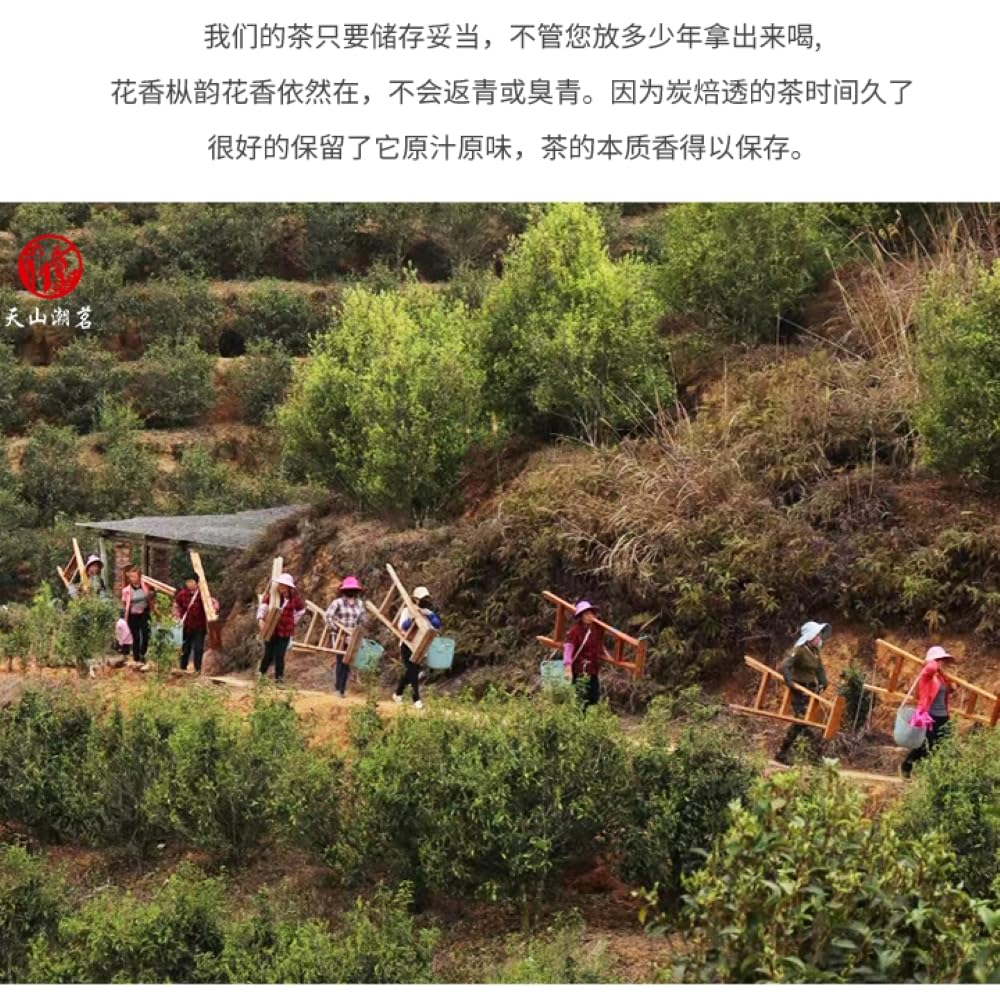 Phoenix Dancong 鳳凰單叢,茉莉香,250g*2,Shipped from China