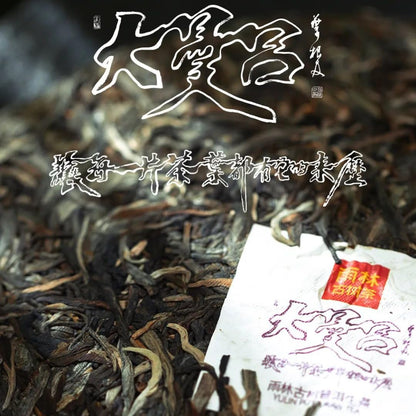 Rainforest Ancient Tree 2021 Da Manlü Raw Pu-Erh Tea Cake – 357g Premium Sheng Puerh