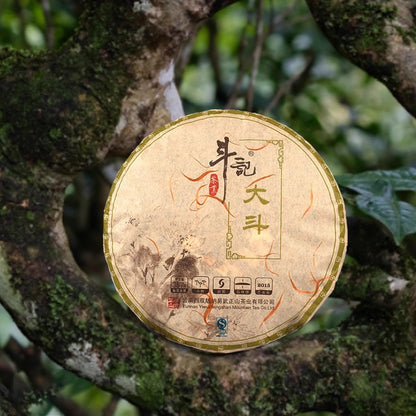 Douji 2015 Raw Pu-erh Tea Cake, Da Dou 1501 Batch, 357g Pressed Tea, Yunnan Puerh Spring Tea