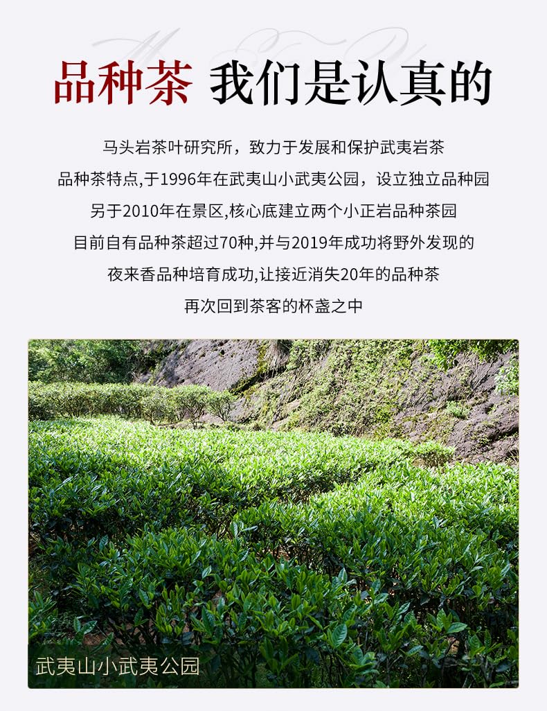 武夷岩茶,四大名叢,半天腰,50g*8,Shipped from China
