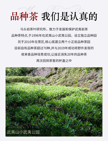 武夷岩茶,四大名叢,半天腰,50g*8,Shipped from China