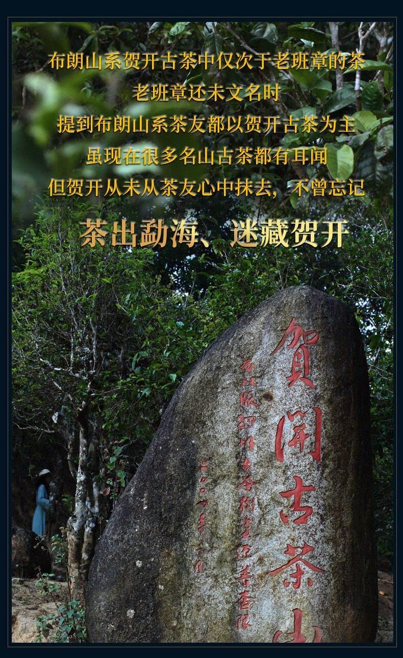 Sheng Jiayuan 2020 He Kai Raw Pu-Erh Tea Cake 357g – Aged Sheng Puerh from He Kai Mountain, Yunnan