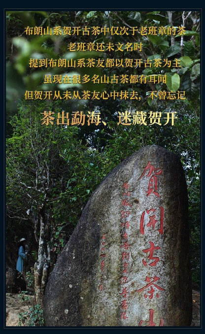 Sheng Jiayuan 2020 He Kai Raw Pu-Erh Tea Cake 357g – Aged Sheng Puerh from He Kai Mountain, Yunnan