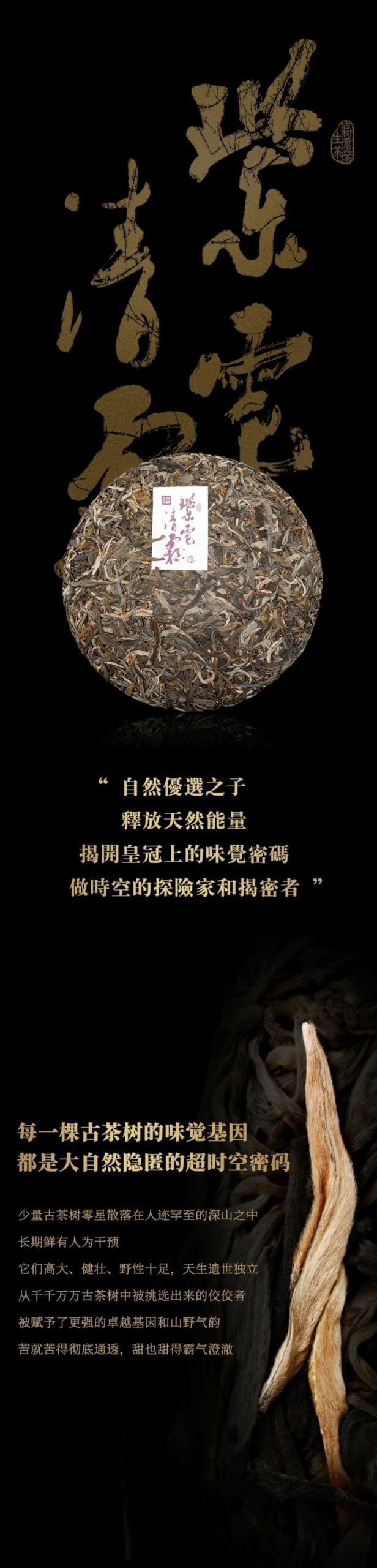 Yulin Ancient Tree Tea 2021 Zidian Qingshuang Raw Pu-erh Tea Cake