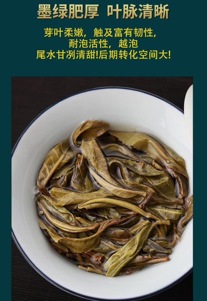 Puerh,2020,陸湯,磨烈,357g,Raw