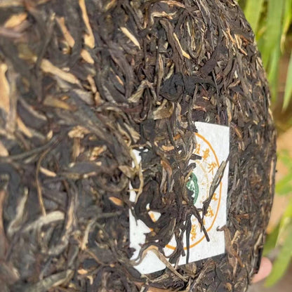 Pu-Erh tea,2012,Banzhang Arbor Garden Tea,357g,Raw