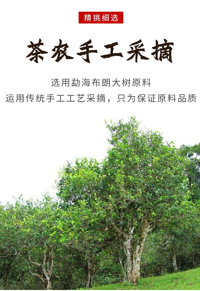 2017 Phoenix Dance Nine Days Raw Pu-erh Tea Cake, 357g, from Xinghai