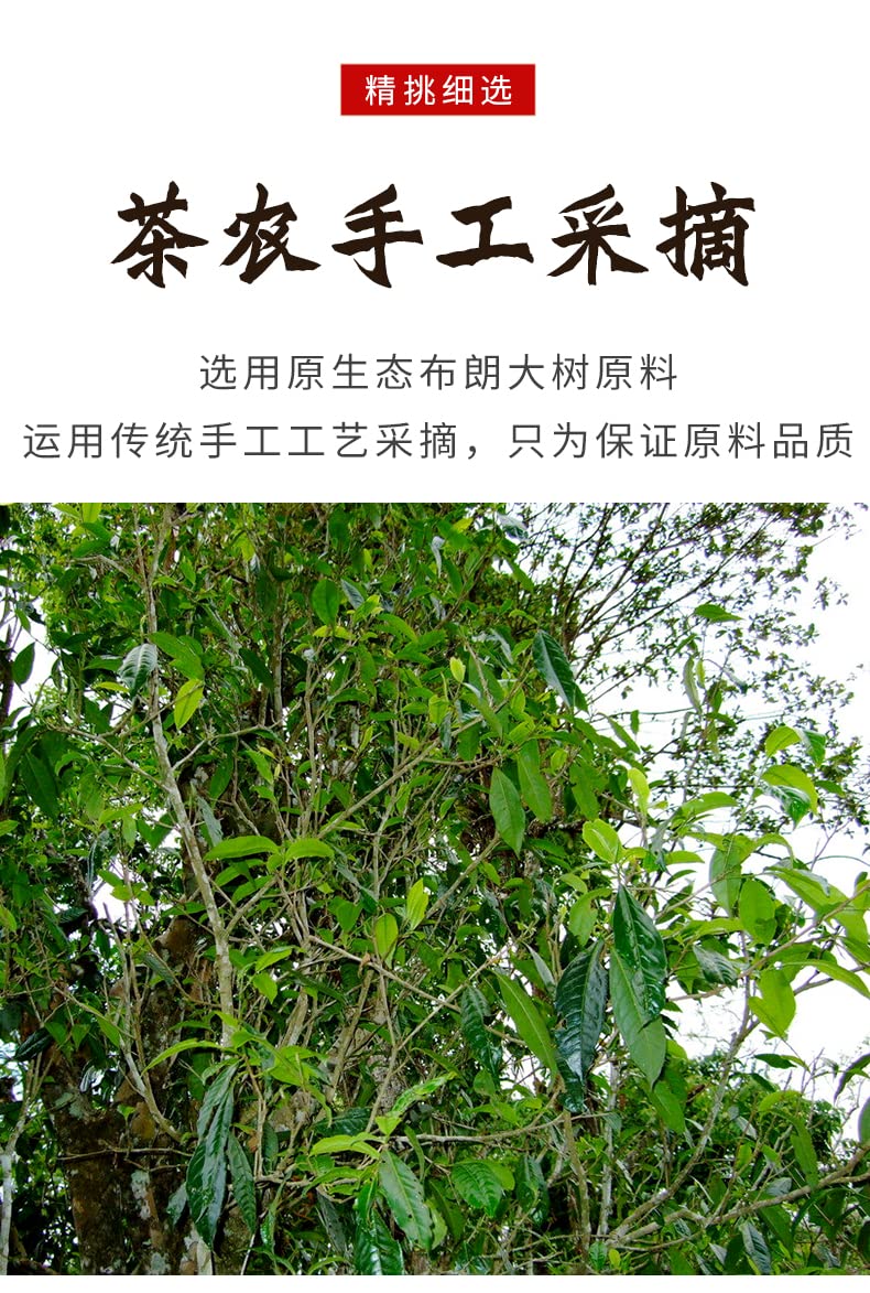 2018 Xinghai Golden Dog Prosperity Raw Pu-erh Tea Cake, 357g, from Yunnan