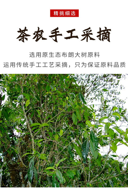 2018 Xinghai Golden Dog Prosperity Raw Pu-erh Tea Cake, 357g, from Yunnan
