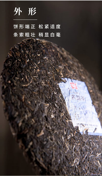 Prime Time 2021 Pu-Erh Tea, 357g, Raw
