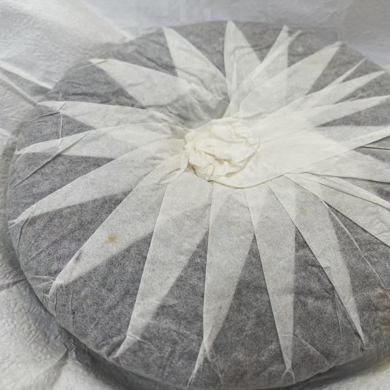 2021 Mangfei Early Spring Raw Pu-erh Tea Cake, 357g, from Ancient Arbor Trees in Yunnan