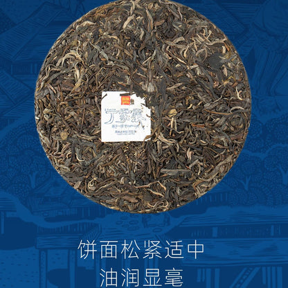 Rainforest Ancient Tree 2021 Dingjiazhai Raw Pu-Erh Tea Cake – 357g Premium Sheng Puerh