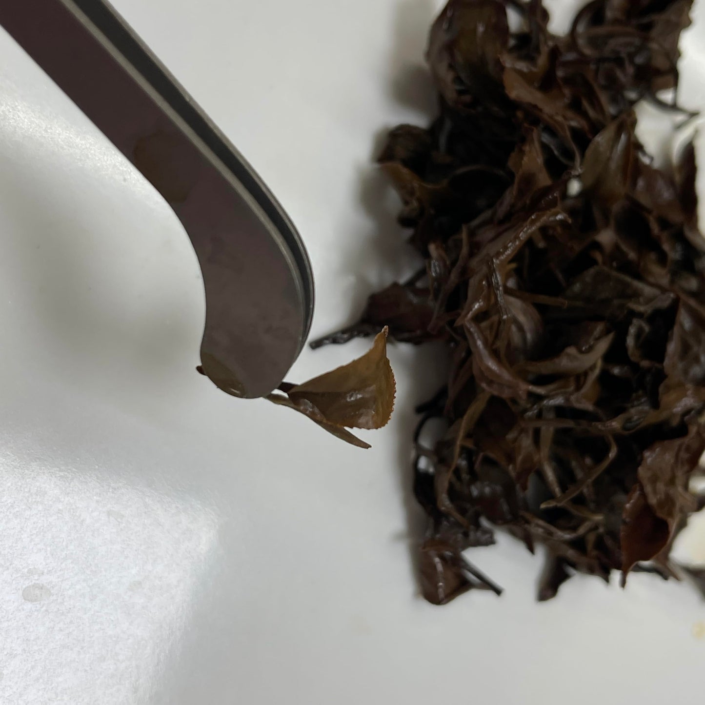 Taiwan unique tea,東方美人茶 Oriental Beauty tea,75g*4